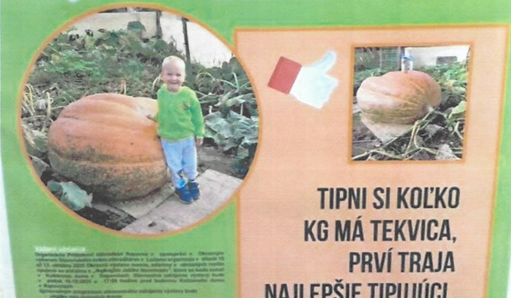 Súťaž